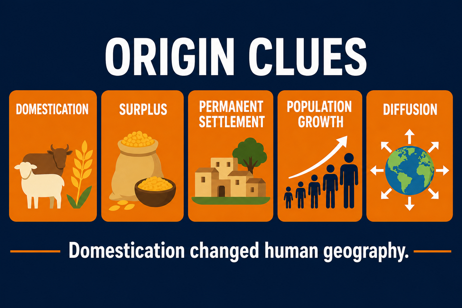 Agriculture origins AP Human Geography exam clues infographic showing domestication, surplus, permanent settlement, population growth, and diffusion