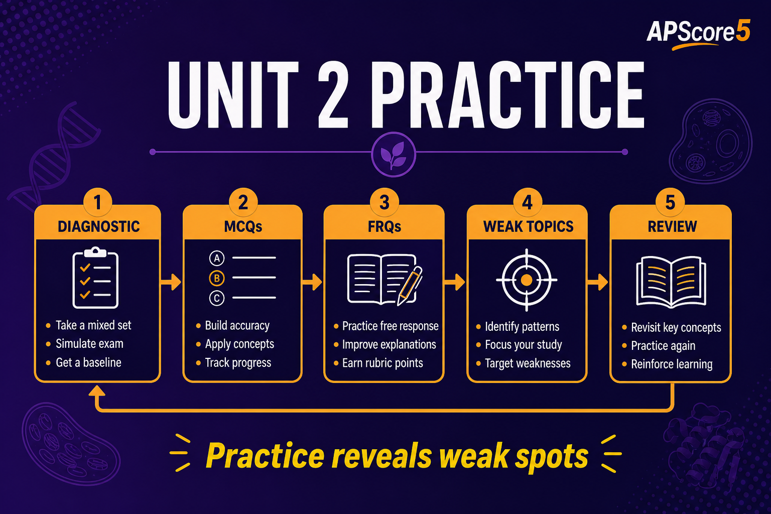 Unit 2 practice path