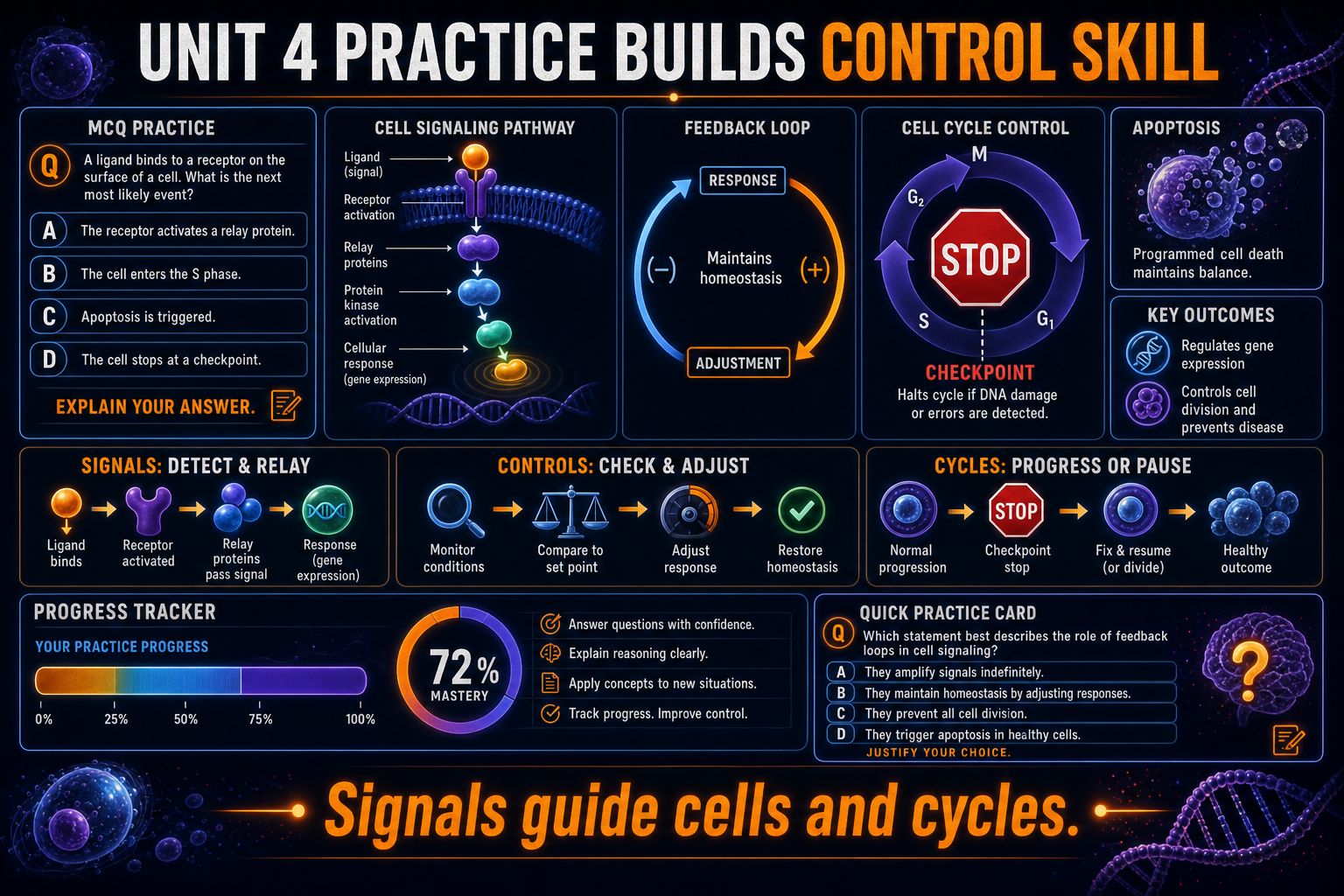 AP Biology Unit 4 practice questions infographic showing cell communication, signaling pathways, feedback, cell cycle, cancer, and apoptosis review