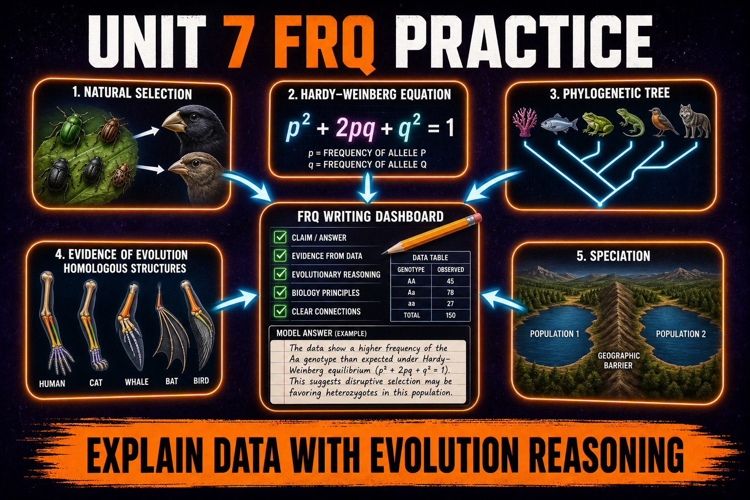 AP Biology Unit 7 FRQ Practice AP Biology Unit 7 FRQ practice showing natural selection Hardy-Weinberg phylogenetic trees evidence of evolution and speciation rubrics