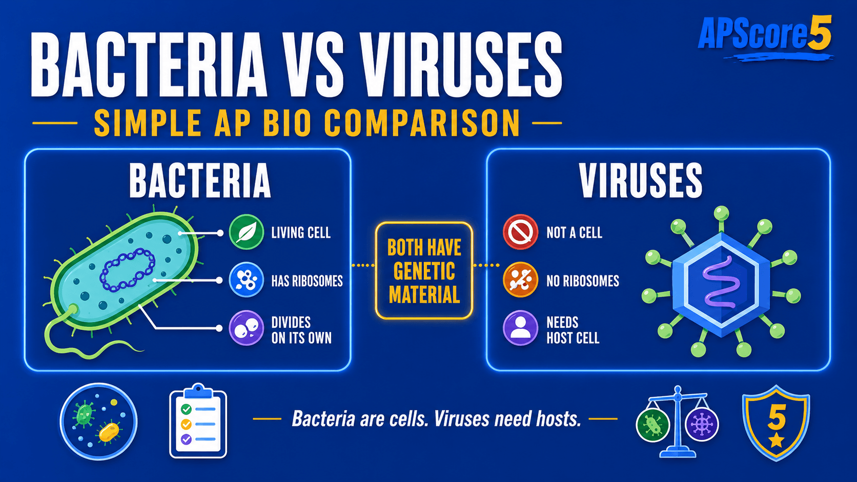 Virus bacteria chart