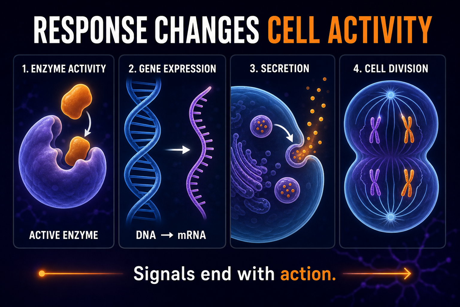 Resception Cell Reception, Transduction, and Response: AP Biology Unit 4 Guide | APScore5