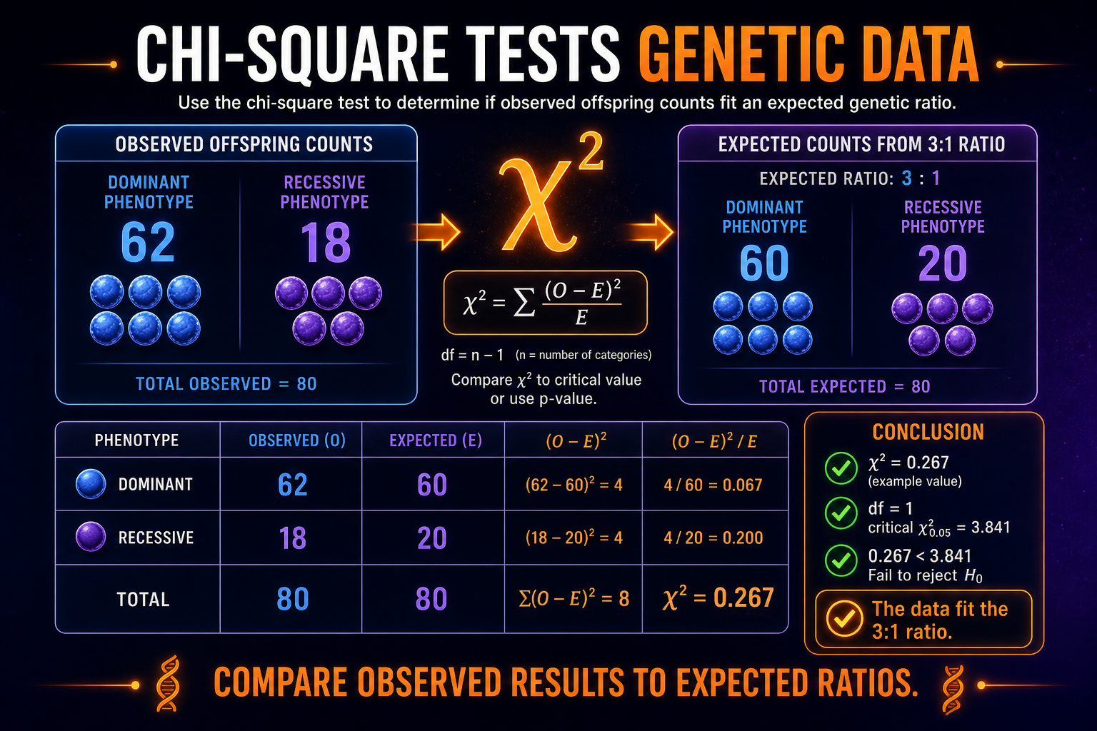 Chi-square genetics test