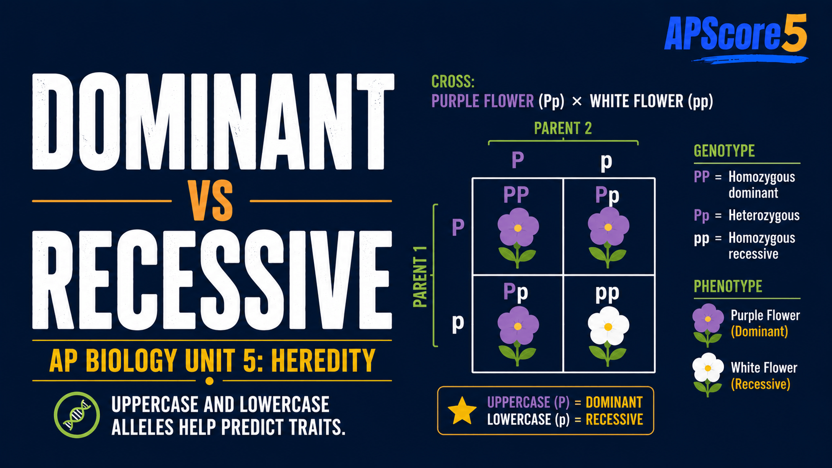 Dominant recessive trait grid