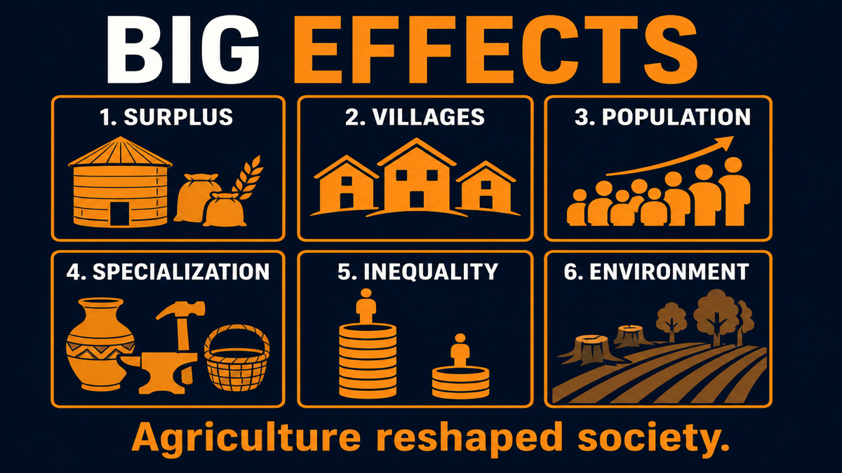 First Agricultural Revolution effects AP Human Geography infographic showing surplus, villages, population growth, labor specialization, inequality, and environmental change