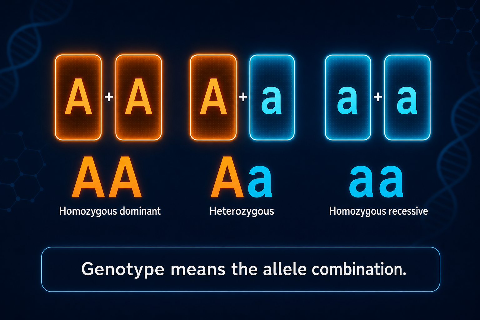Genotype allele combinations