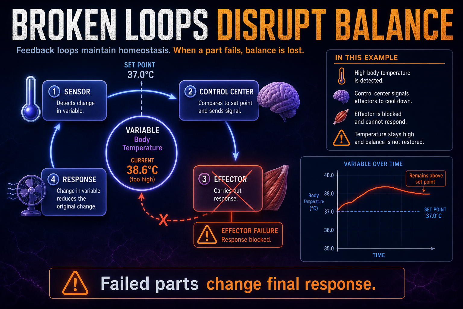 AP Biology homeostasis failure infographic showing a broken feedback loop causing a variable to remain away from its set point