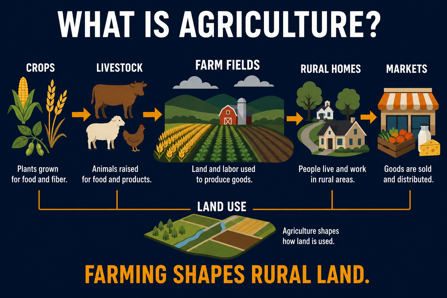 Introduction to agriculture AP Human Geography infographic showing crops, livestock, farm fields, rural homes, market arrows, and land use