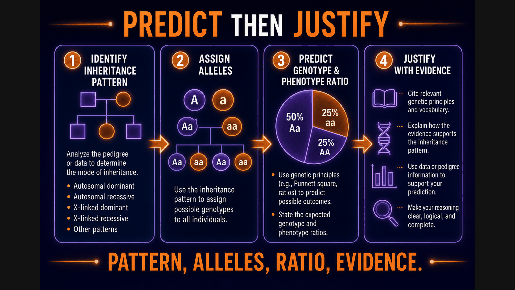 AP Biology Mendelian genetics FRQ reasoning infographic showing how to predict inheritance ratios and justify evidence