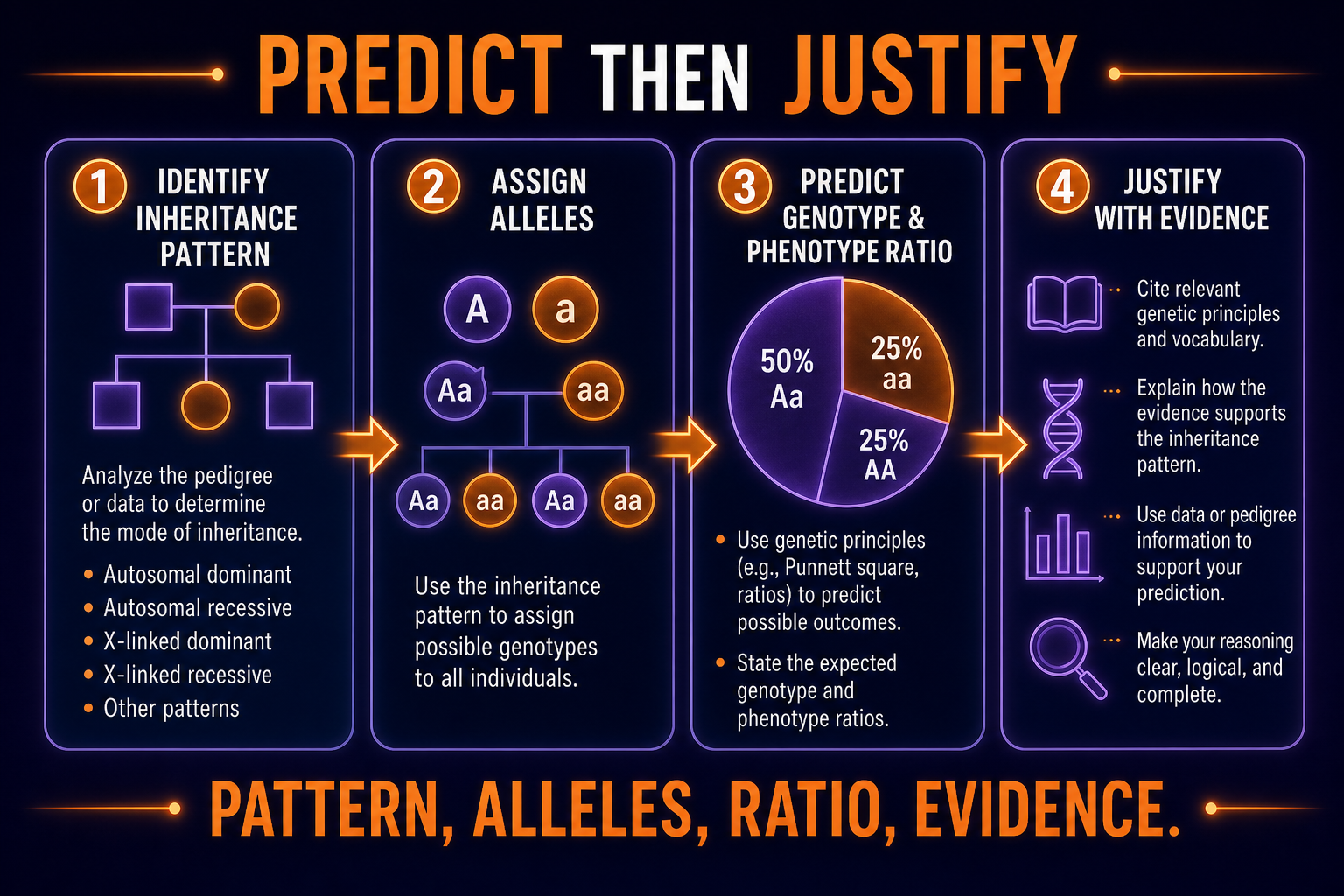 AP Biology Mendelian genetics FRQ reasoning infographic showing how to predict inheritance ratios and justify evidence