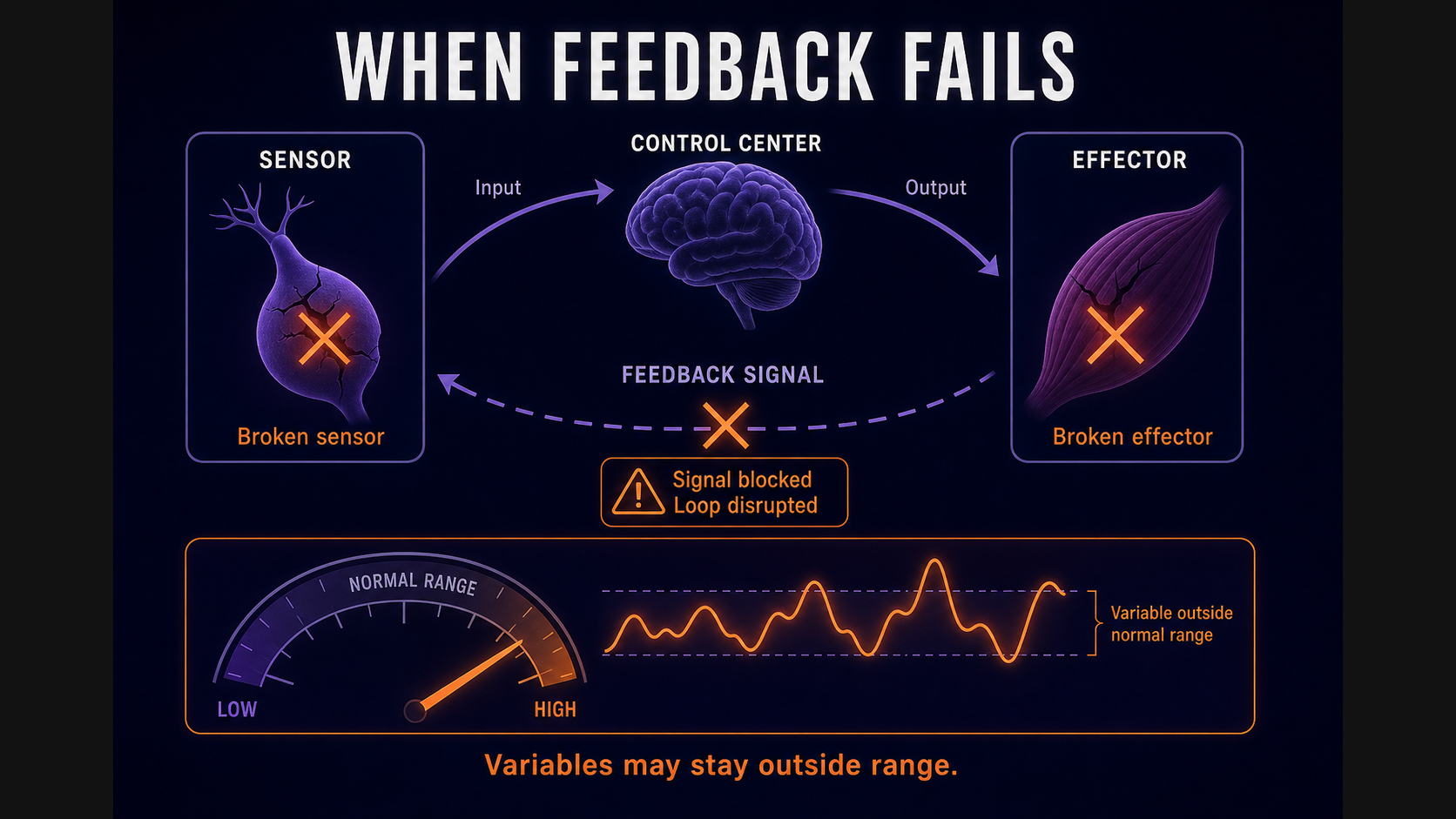 Broken feedback loop failure