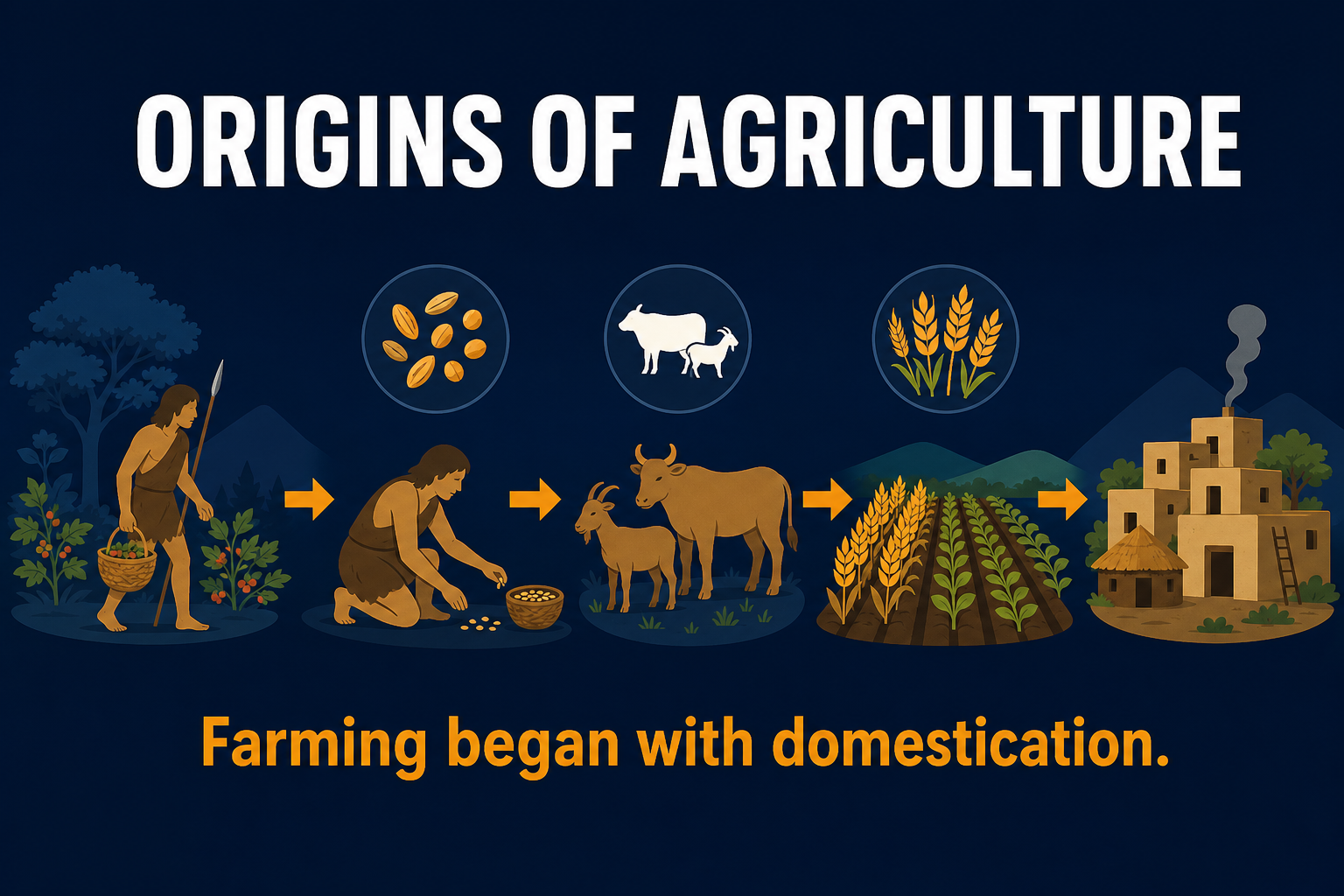 Origins of agriculture AP Human Geography infographic showing early humans shifting from foraging to farming with seeds, animals, fields, and a small village