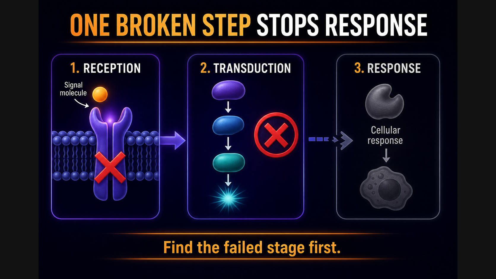 Pathway failure blocked step