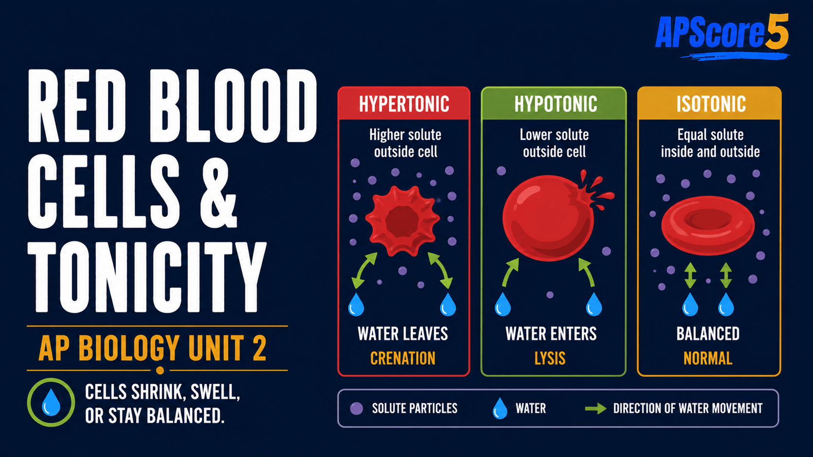 Unit 2 cell thumbnail