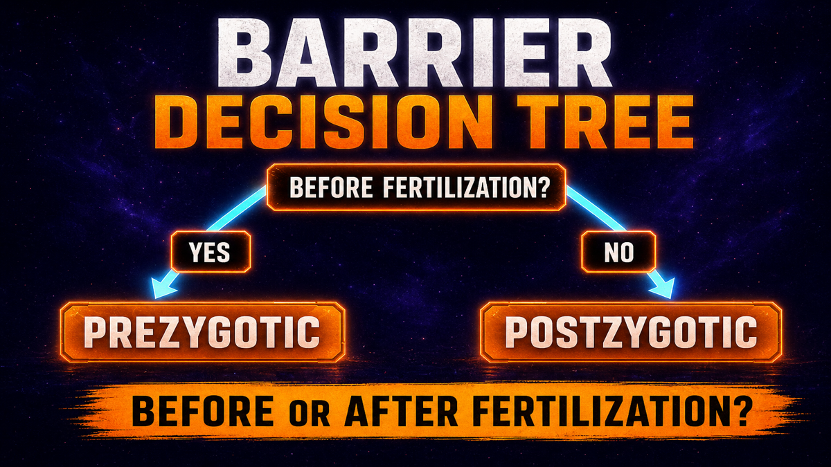 Reproductive Barrier Decision Tree AP Biology Reproductive barrier decision tree AP Biology showing how to identify prezygotic and postzygotic barriers