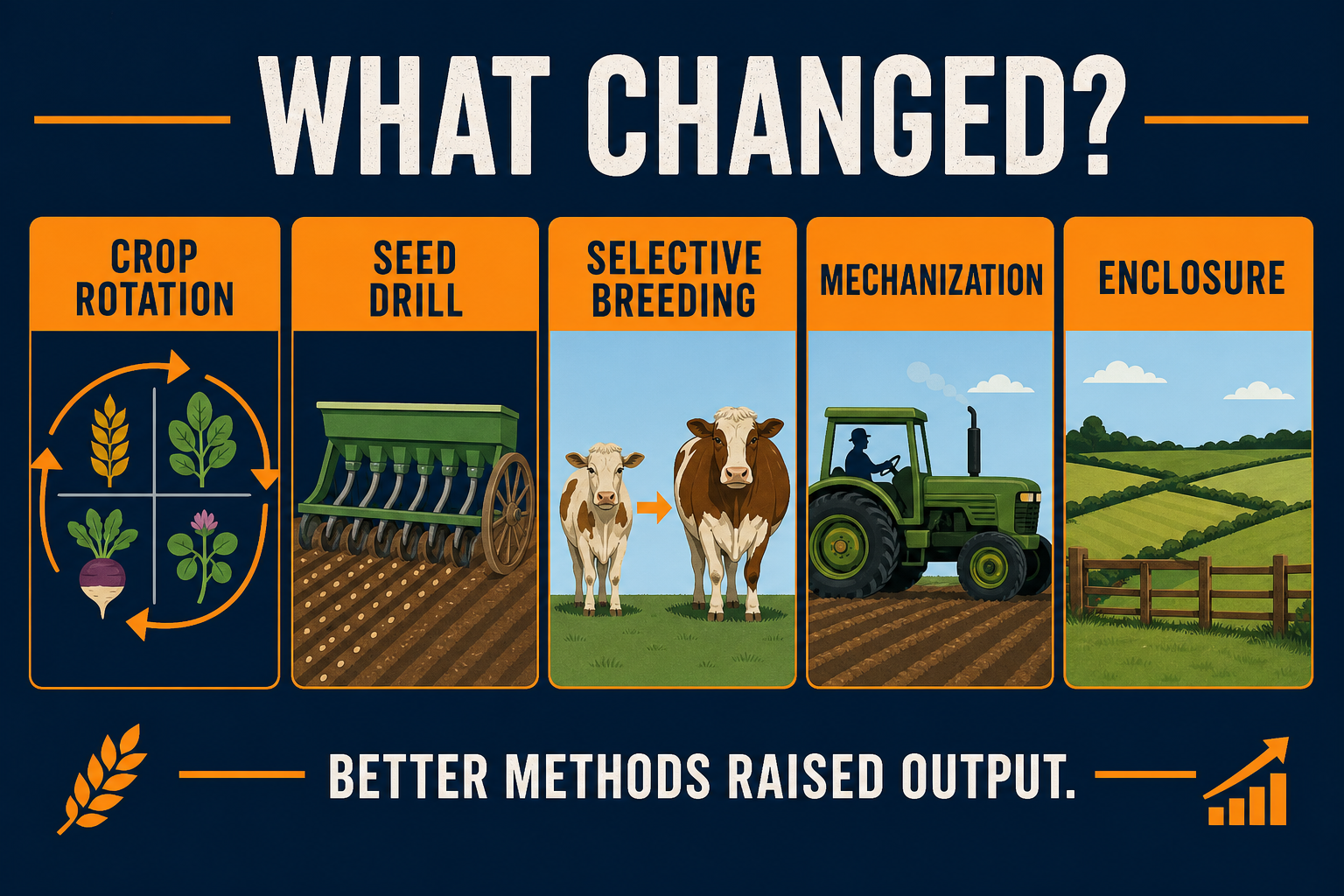 Second Agricultural Revolution changes AP Human Geography infographic showing crop rotation, seed drill, selective breeding, mechanization, and enclosure