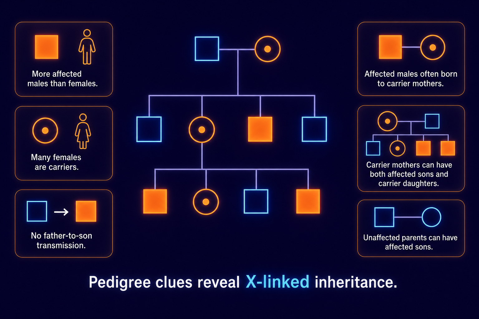 Sex-linked pedigree clues