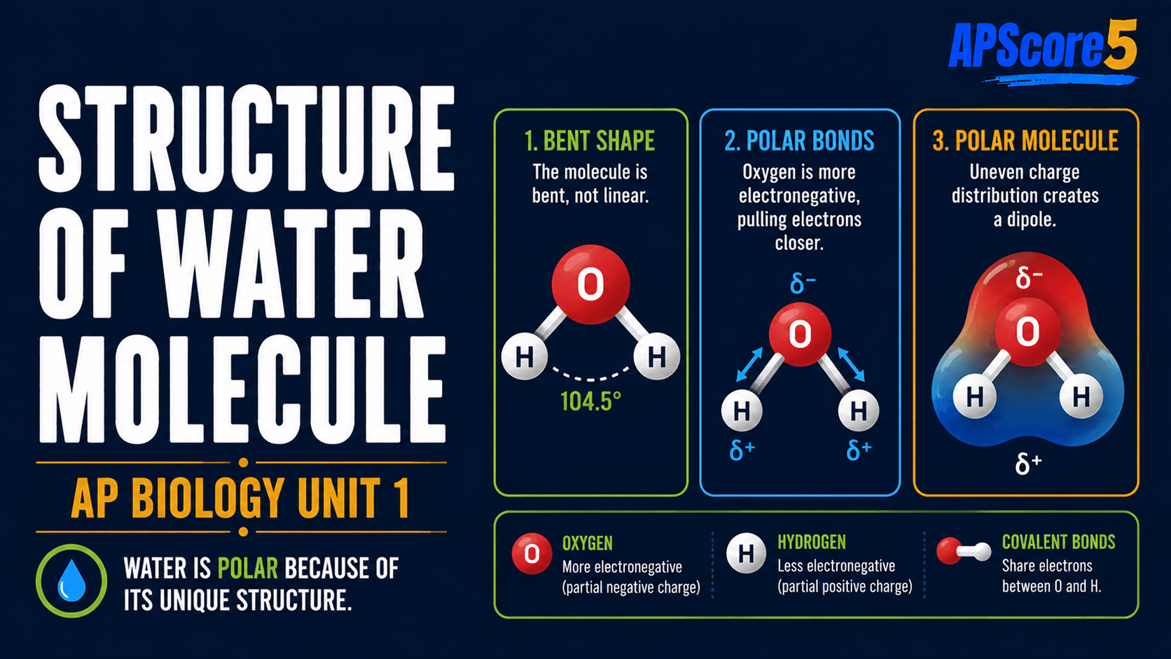 Water polarity bent molecule