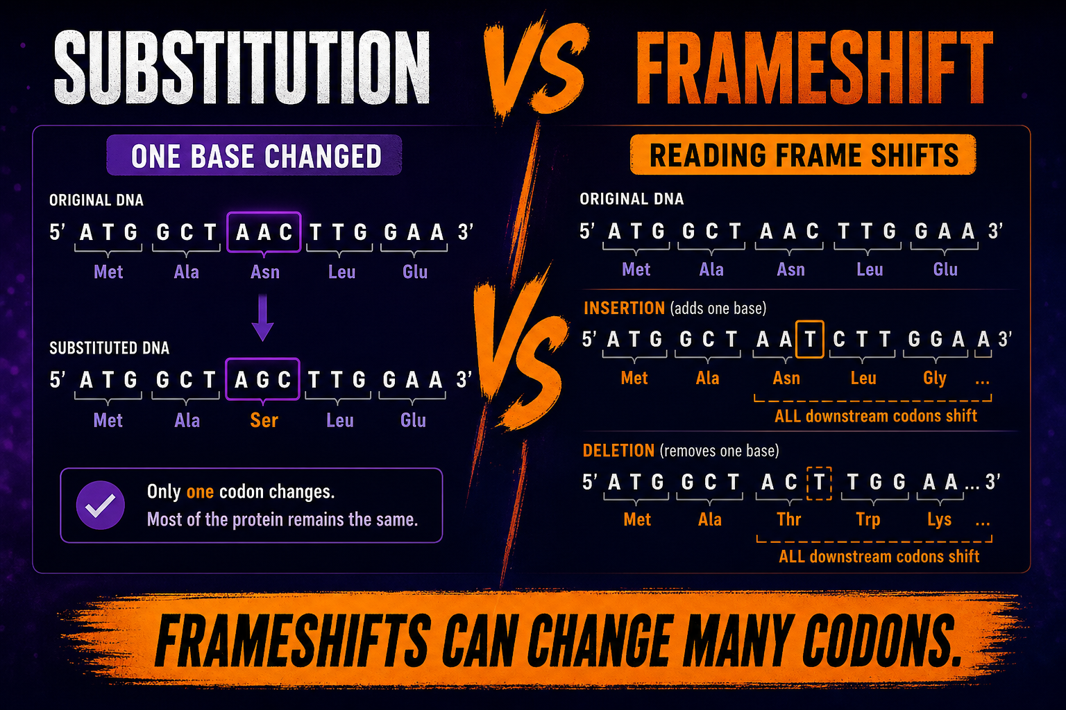 Substitution vs Frameshift Mutation AP Biology Substitution versus frameshift mutation AP Biology showing one base change and shifted reading frame