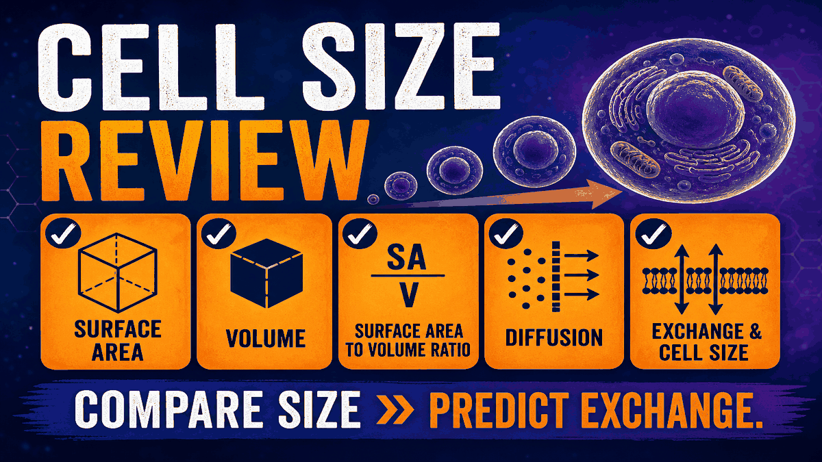 SA:V final review checklist