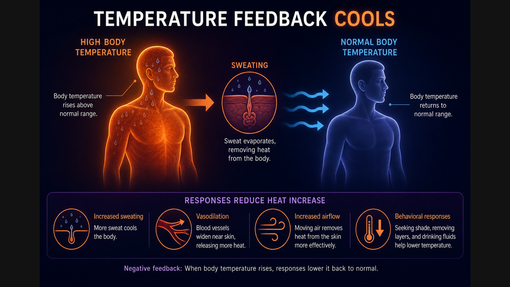 Sweating cools high temperature
