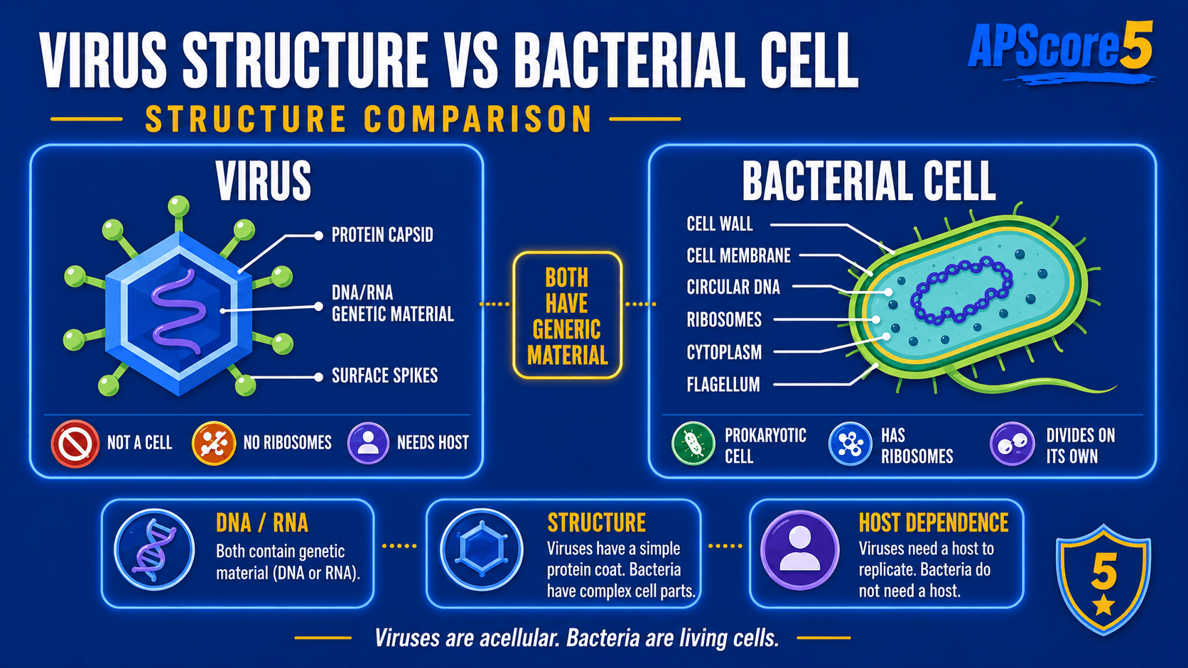 Virus bacteria structures