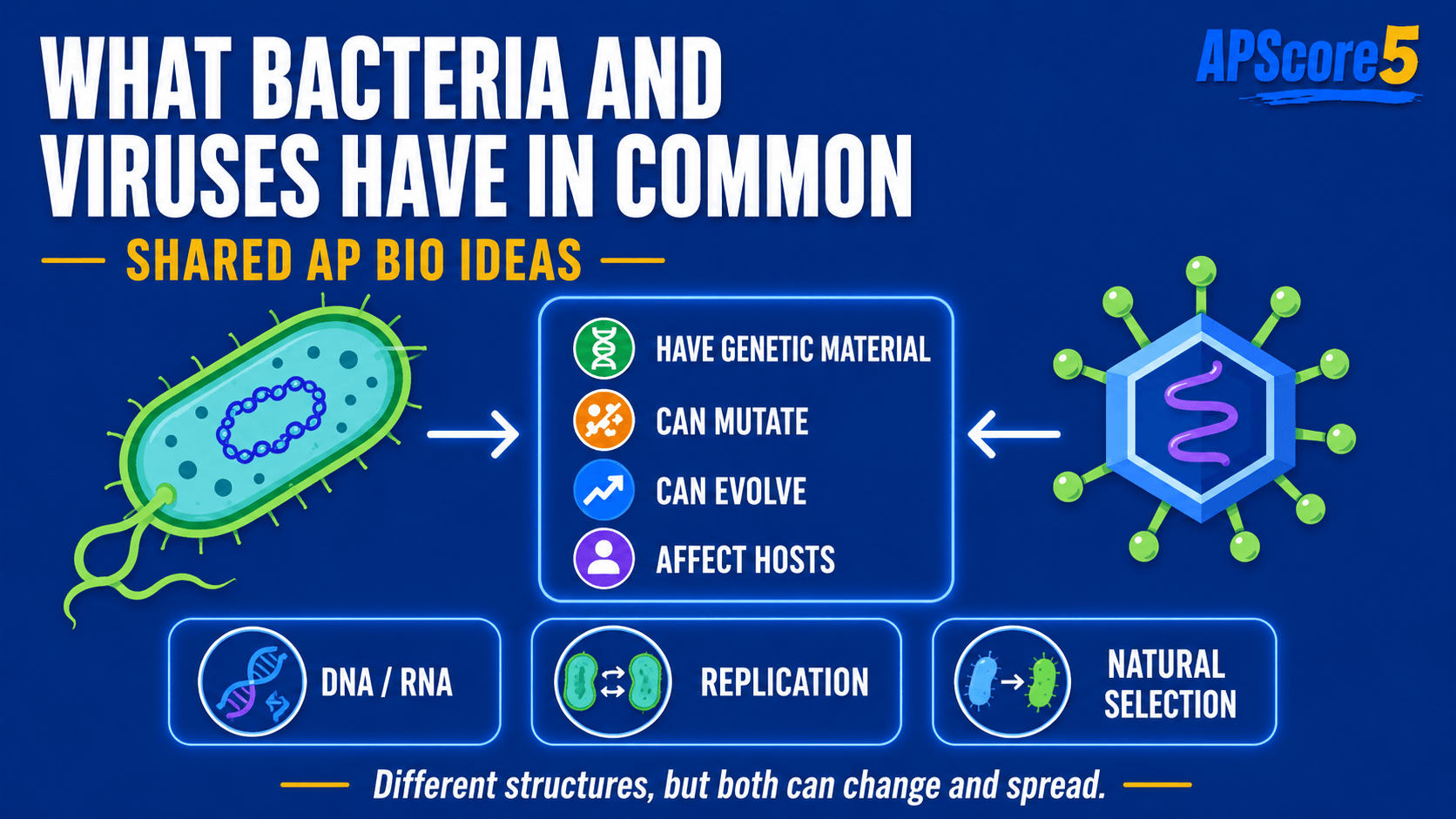 Bacteria viruses comparison